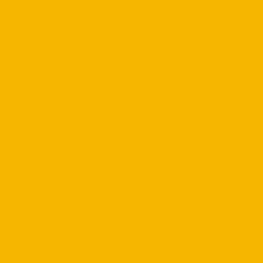 RAL 1021 (Rape yellow)