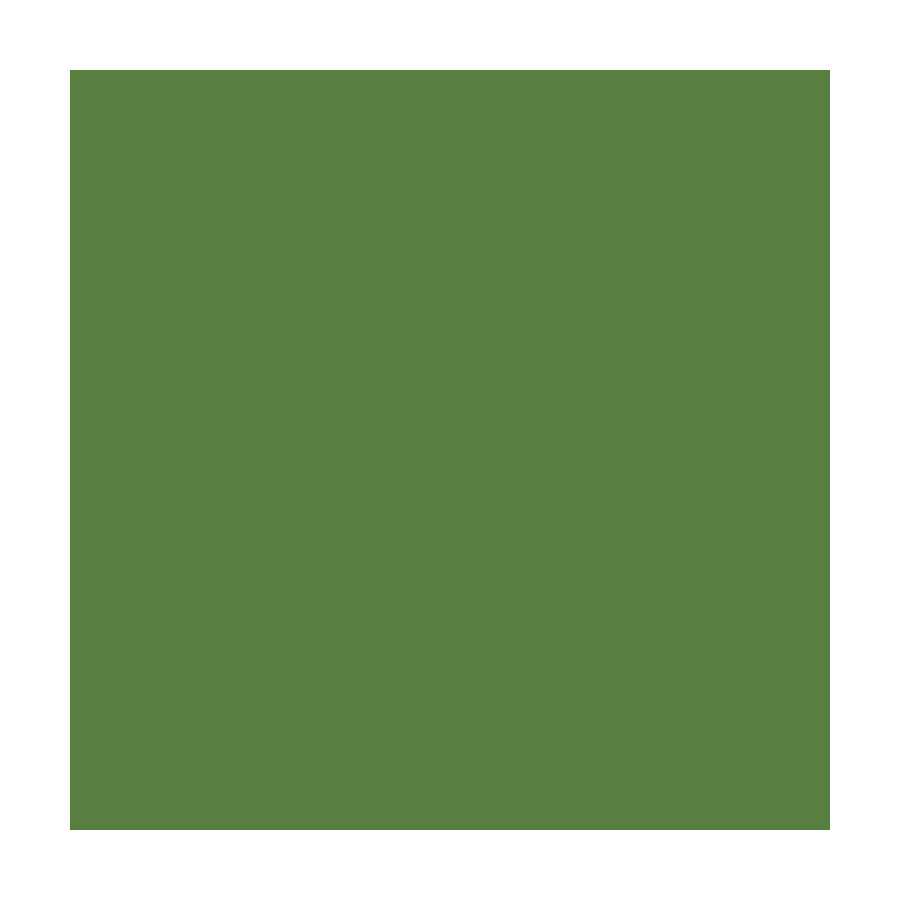 RAL 6017 (Verde de mai) RAL 6017 (Verde de mai)