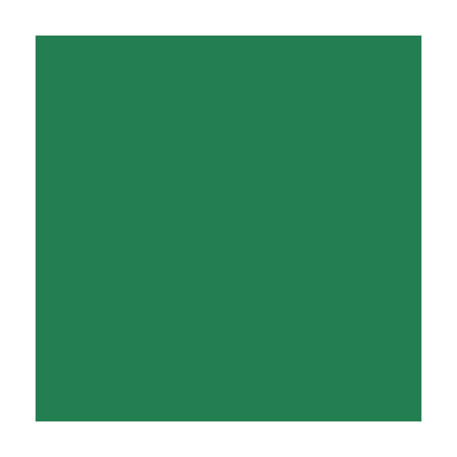 RAL 6032 (Verde semnal) RAL 6032 (Verde semnal)