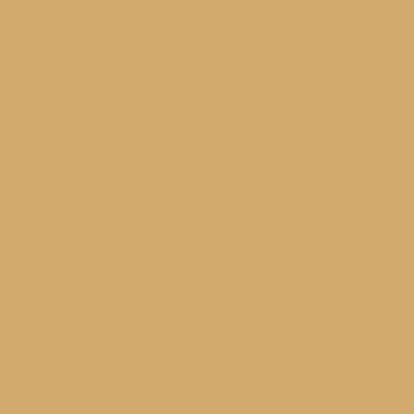 RAL 1002 (Galben nisip)