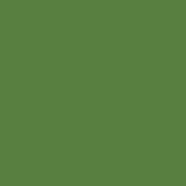 RAL 6017 (Verde de mai)