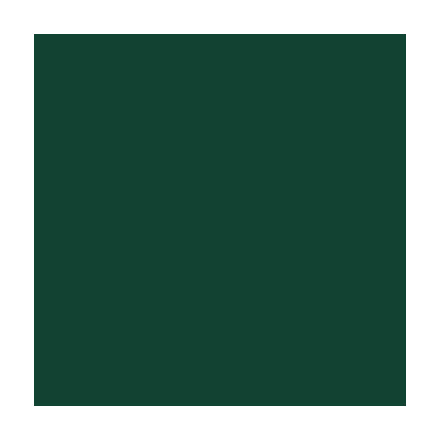 RAL 6005 (Verde muschi) RAL 6005 (Verde muschi)
